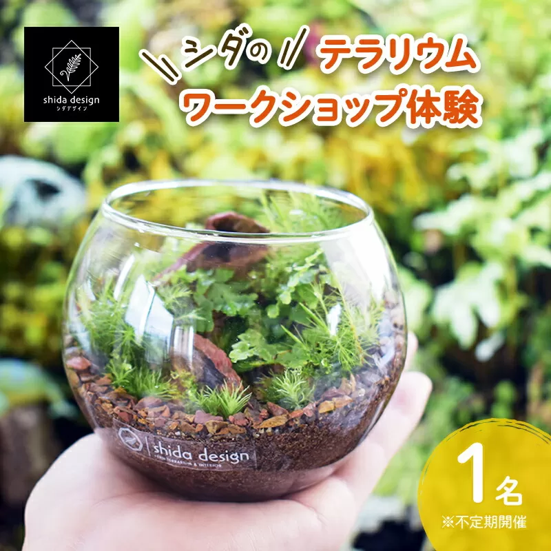 【ふるさと納税】 シダのテラリウムワークショップ体験チケット (1名様分) シダ テラリウム 植物 育成 作成 ギフト 人気 ふるさと納税 ふるさと おすすめ 送料無料 兵庫県 三田市 [3d28bae520000]