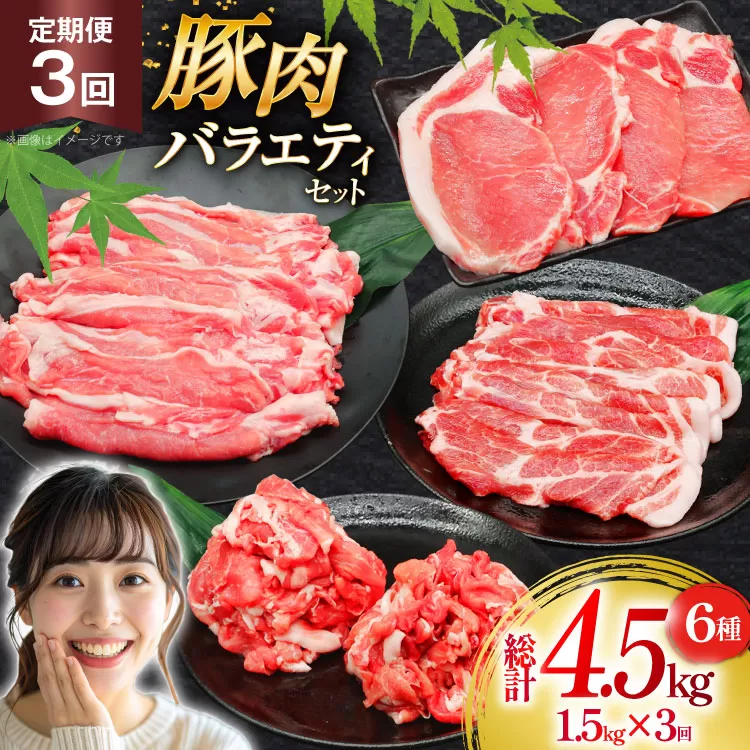 豚肉 バラエティ セット 計1.5kg 3回 定期便 [司フーズ・システム 兵庫県 三田市 3d28bdy500020] 豚 肉 とんかつ 小間切れ バラしゃぶ 豚こま肉 豚コマ 小分け 真空パック
