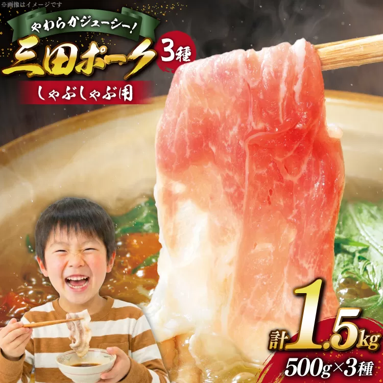 豚肉 小分け 兵庫県産 三田ポーク しゃぶしゃぶ用 3種 500g 計 1.5kg ロース 肩ロース バラ セット [パスカルさんだ 兵庫県 三田市 3d28bae660042] 冷凍 国産 しゃぶしゃぶ 豚 肉 詰め合わせ 薄切り
