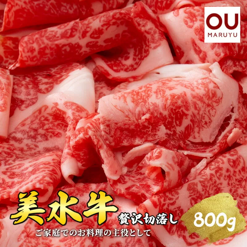 美水牛 贅沢 切落し ( 800ｇ 200ｇ×４) 牛肉 冷凍品 ギフト 肉 お祝い 但馬牛 神戸牛 三田牛 数量限定 訳あり ふるさと納税 ふるさと 人気 おすすめ 送料無料 [兵庫県 三田市 3d28bae590013]