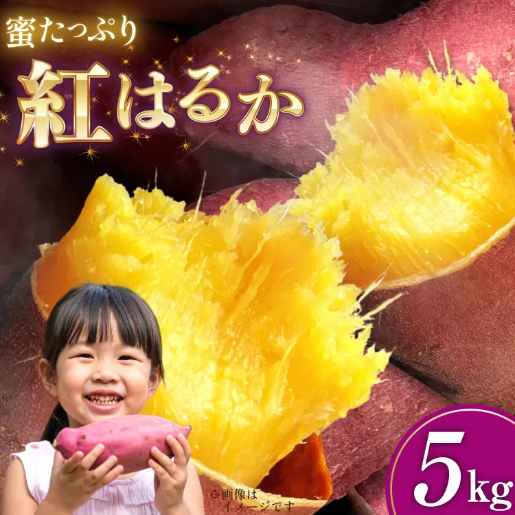 さつまいも 紅はるか 5kg 【2025年11月前半〜2026年3月後半配送】 [SSSファーム 兵庫県 三田市 3d28bed520000] 芋 さつま芋 べにはるか お芋 5キロ