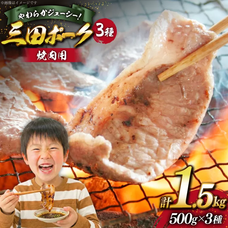 豚肉 小分け 兵庫県産 三田ポーク 焼肉用 3種 500g 計 1.5kg ロース 肩ロース バラ セット [パスカルさんだ 兵庫県 三田市 3d28bae660043] 冷凍 国産 焼肉 焼き肉 カット 豚 肉 詰め合わせ