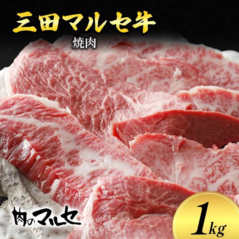 【ふるさと納税】 三田 マルセ牛 焼肉 1kg 焼き肉 やきにく 焼肉 焼肉パーティ 勢戸 牛肉 ギフト 肉 お祝い 但馬牛 神戸牛 三田牛 数量限定 訳あり ふるさと納税 ふるさと 人気 おすすめ 送料無料 兵庫県 三田市 [3d28bae610037]