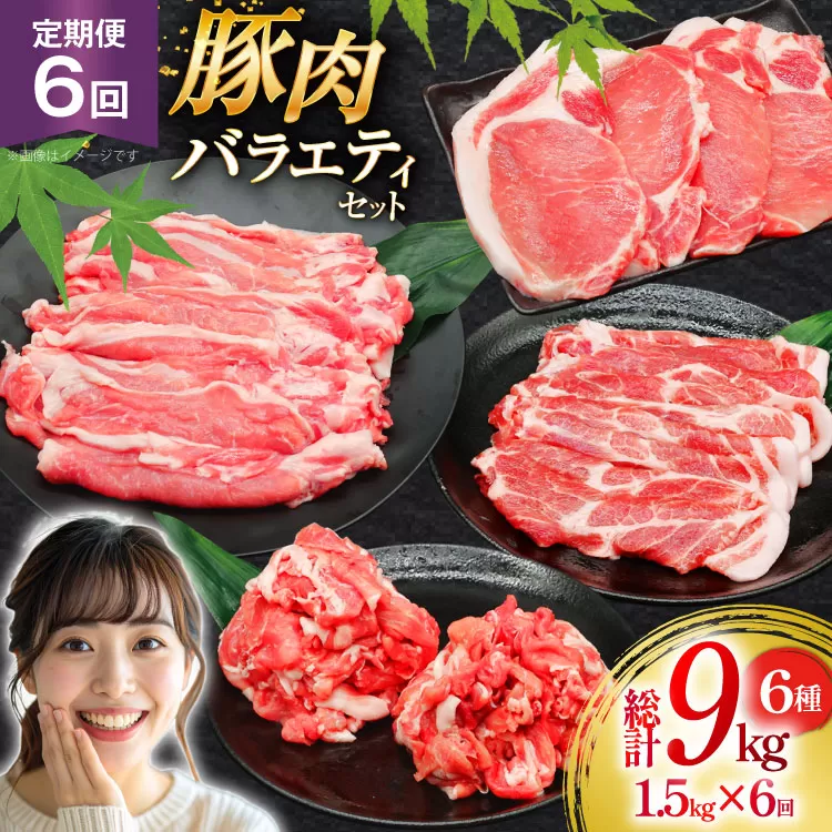 豚肉 バラエティ セット 計1.5kg 6回 定期便 [司フーズ・システム 兵庫県 三田市 3d28bdy500019] 豚 肉 とんかつ 小間切れ バラしゃぶ 豚こま肉 豚コマ 小分け 真空パック