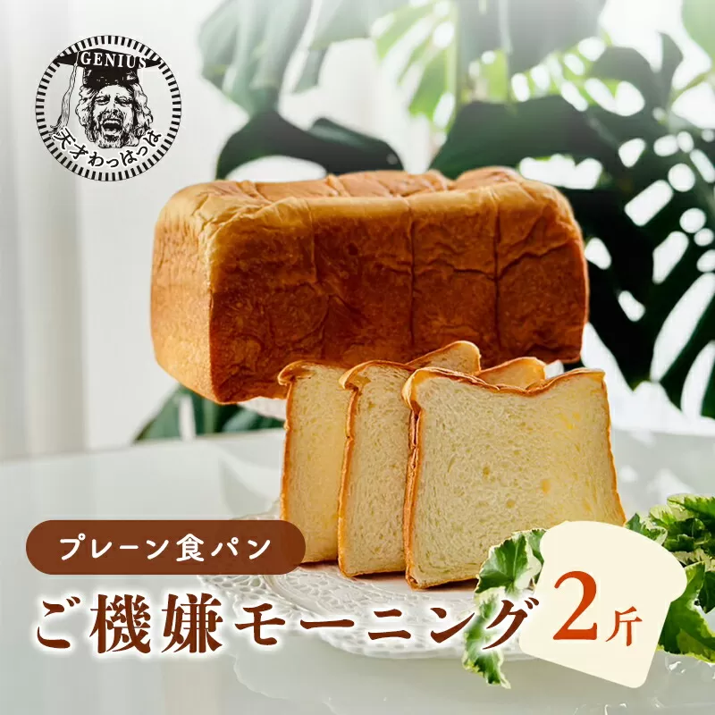 【ふるさと納税】 プレーン食パンご機嫌モーニング 1本 2斤 天才 わっはっは genius? パン ぱん 食パン ブレッド おいしい 朝食 朝ごはん 朝  数量限定 訳あり ふるさと納税 ふるさと 人気 おすすめ 送料無料 兵庫県 三田市 [3d28bae530033]