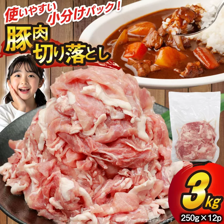 豚肉 切り落とし 250g 12p 計3kg [司フーズ・システム 兵庫県 三田市 3d28bdy500012] 豚 肉 豚切り落とし 切落し セット 小分け 真空パック 真空 冷凍 お弁当 おかず おすすめ