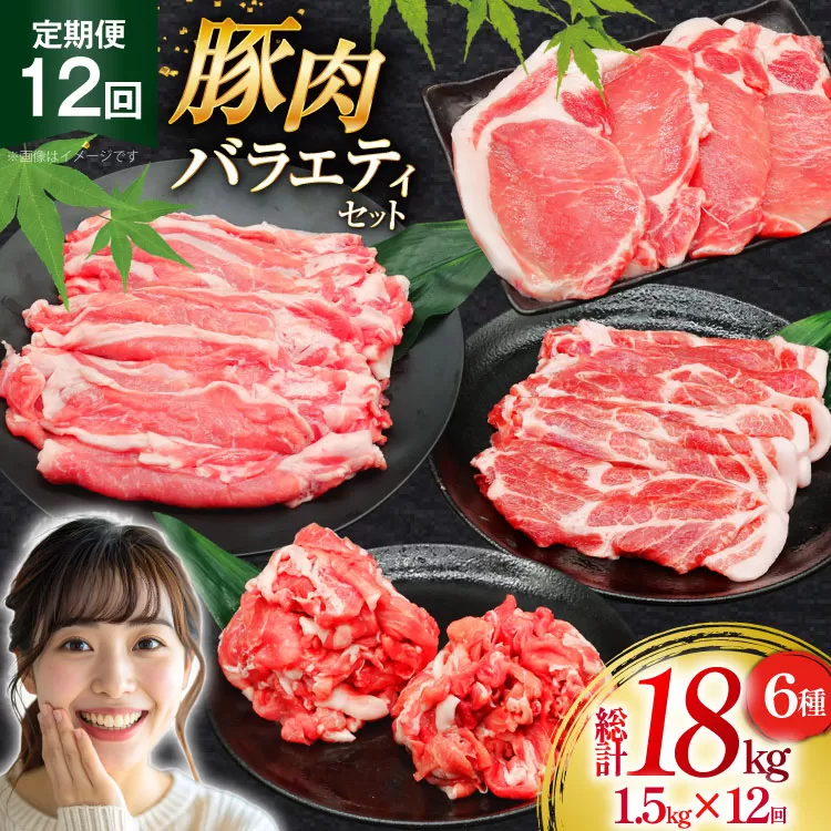 豚肉 バラエティ セット 計1.5kg 12回 定期便 [司フーズ・システム 兵庫県 三田市 3d28bdy500018] 豚 肉 とんかつ 小間切れ バラしゃぶ 豚こま肉 豚コマ 小分け 真空パック