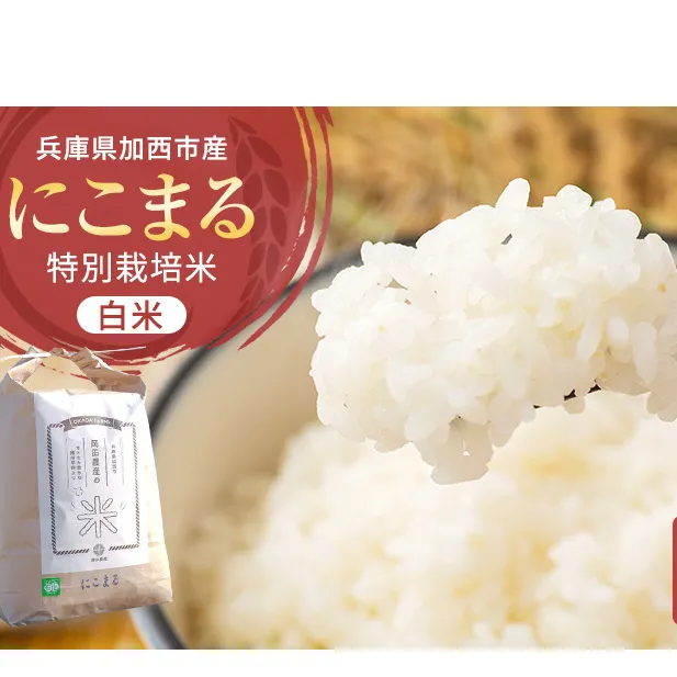 【令和6年産新米予約受付】 特別栽培米 にこまる 白米5kg 東京米スターセレクションKIWAMI米2023 金賞受賞！ 新米 精米 白米 お米 こめ コメ ごはん ご飯 ニコマル 先行予約 単一原料米 