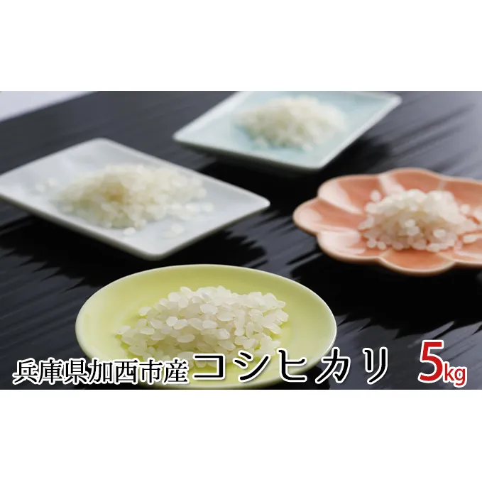兵庫県加西市産　特A米相当コシヒカリ 5kg お米 おこめ こしひかり ライス 頒布会 定期便 