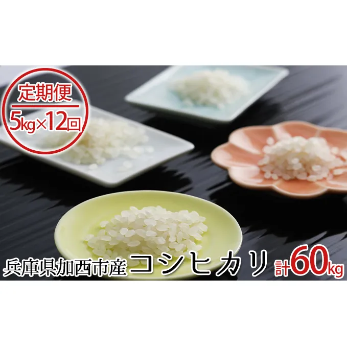 兵庫県加西市産 特A米相当コシヒカリ 5kg×12回【定期便】