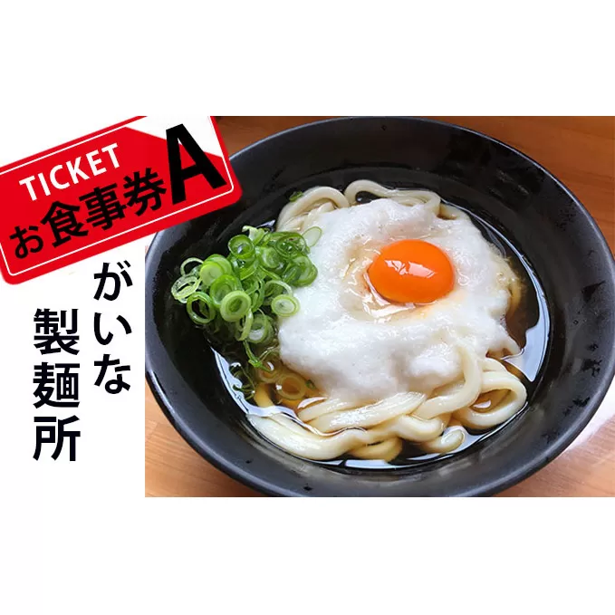 がいな製麺所 お食事券A おでかけ チケット うどん 讃岐うどん 行列 卵かけご飯 がいなばあちゃん 