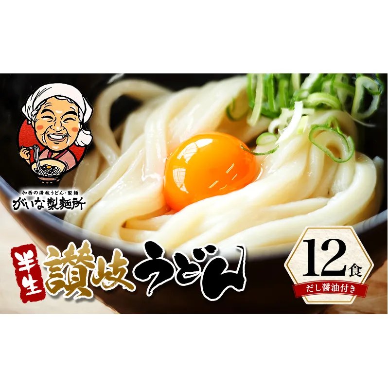 加西市で行列ができる『がいな製麺所』の 讃岐うどん セット こんぶ醤油付き （ 半生タイプ 讃岐 さぬき もっちり コシ 喉越し もちもち食感 ご当地 麺類 かけ 常温保存 有名店 人気店 老舗 製麺所 グルメ お取り寄せ ）
