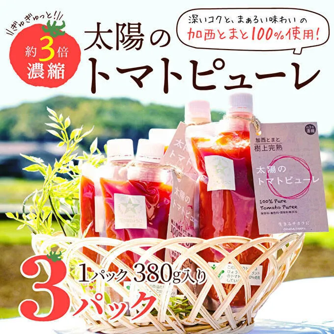太陽のトマトピューレ 3本セット 野菜 とまと 加工食品 