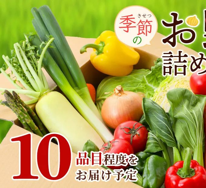 季節の野菜 セット 詰め合わせ 10品程度 野菜 野菜セット 旬の野菜 野菜詰め合わせ 野菜詰め合わせセット 新鮮野菜 新鮮野菜詰め合わせ 新鮮 旬