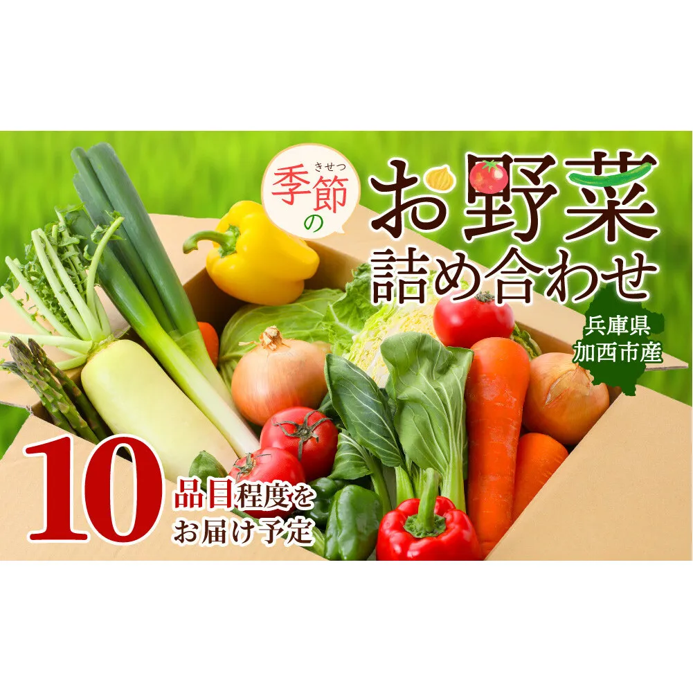 季節の野菜 セット 詰め合わせ 10品程度 野菜 野菜セット 旬の野菜 野菜詰め合わせ 野菜詰め合わせセット 新鮮野菜 新鮮野菜詰め合わせ 新鮮 旬