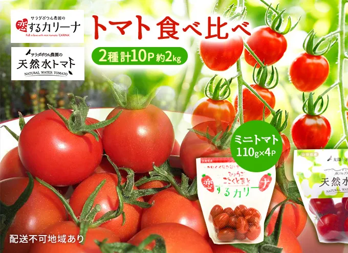 トマト 食べ比べ 2種 天然水トマト カリーナ 計10パック ミニトマト 兵庫県産 野菜 高品質 1箱 甘い あまい 夏野菜 糖度 お取り寄せ 