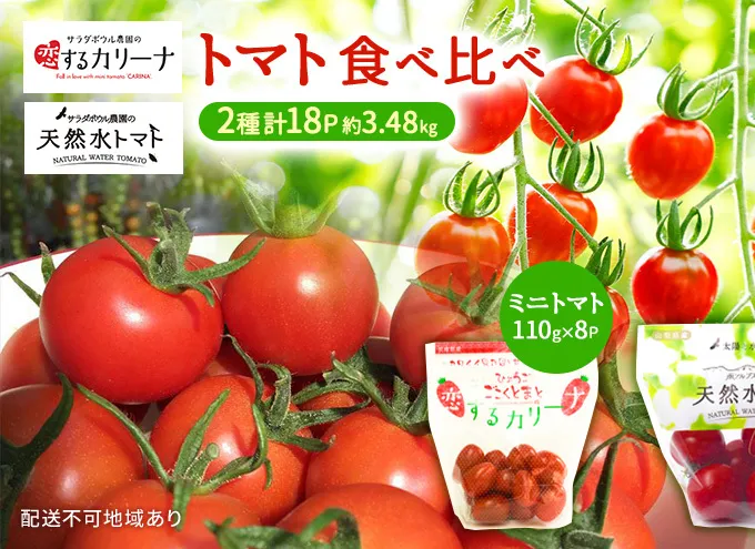 トマト 食べ比べ 2種 天然水トマト カリーナ 計18パック ミニトマト 兵庫県産 野菜 高品質 1箱 甘い あまい 夏野菜 糖度 お取り寄せ 