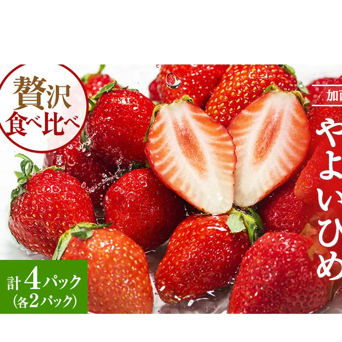 加西市産 いちご「章姫」「やよい姫」食べ比べ 4パックセット 果物 フル−ツ デザート 食後 おやつ 柔らかめ 酸味少なめ ジュージー 大粒 強い甘み 優しい酸味 フルーティー 