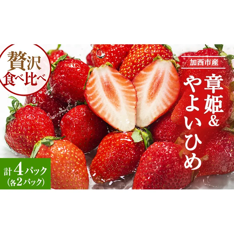 加西市産 いちご「章姫」「やよい姫」食べ比べ 4パックセット 果物 フル−ツ デザート 食後 おやつ 柔らかめ 酸味少なめ ジュージー 大粒 強い甘み 優しい酸味 フルーティー 