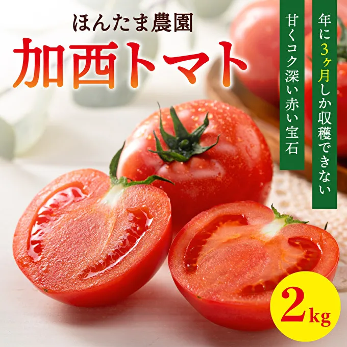 加西市産 ほんたま農園の大玉トマト 2kg 野菜 とまと 