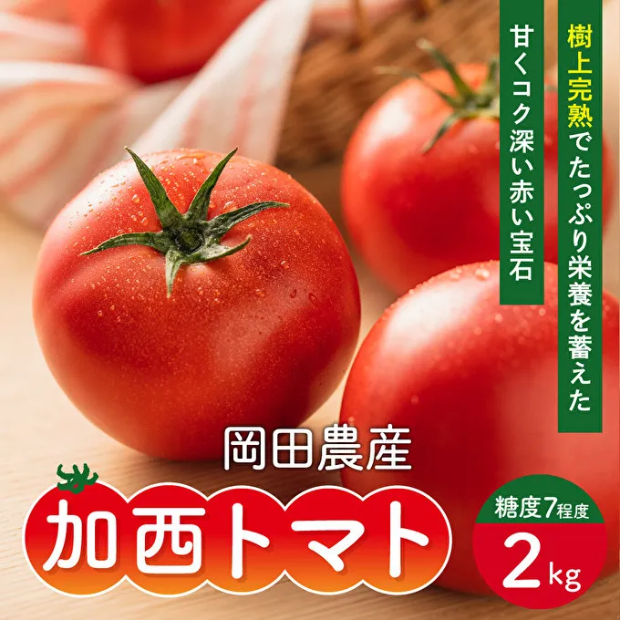 トマト 2kg 加西トマト 2025年度産 兵庫県産 野菜 とまと 完熟 高糖度 濃厚 甘い 賞 受賞 糖度 減農薬 夏野菜 あまい お取り寄せ 冷蔵配送 