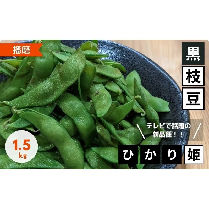 【テレビで話題！】兵庫の新品種黒枝豆 ひかり姫 兵庫県 万願寺産 1.5kg 野菜 国産野菜 大粒 甘味 コク 秋の味覚 旬の野菜 産地直送 つまみ 