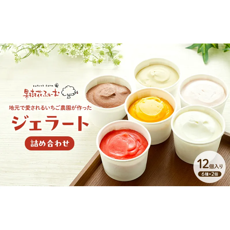 ジェラート 12個 12種 詰め合わせ アイス アイスクリーム スイーツ お菓子 菓子 おやつ 兵庫県 加西市