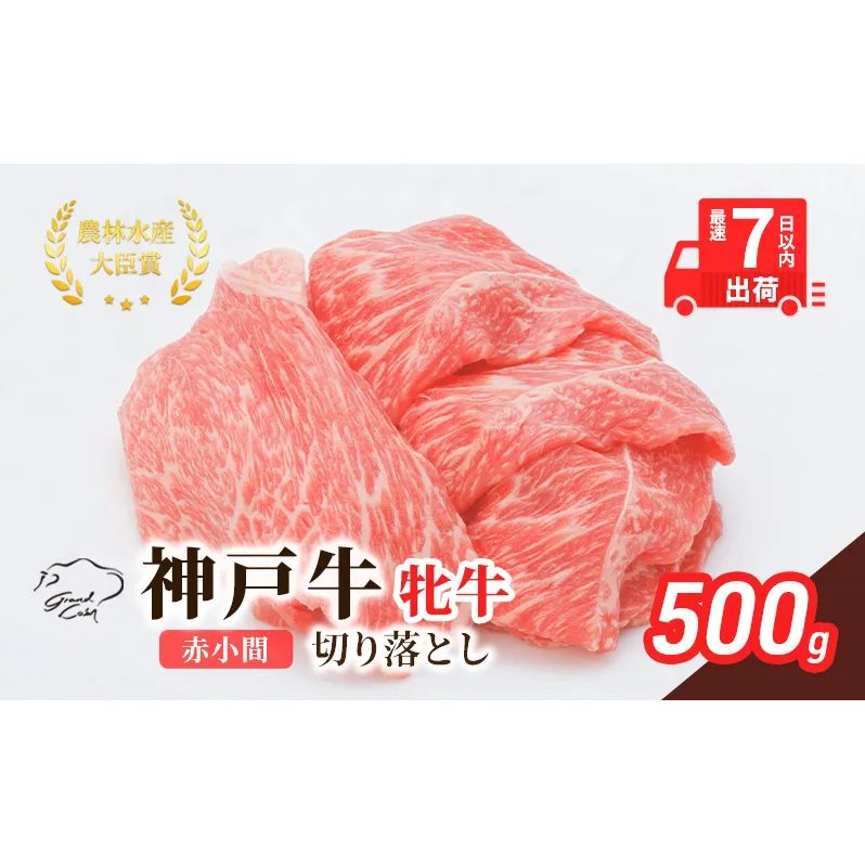 【最短7日以内発送】 神戸ビーフ 神戸牛 牝 切り落とし 赤小間 500g 川岸畜産 すき焼き 牛丼  冷凍 肉 牛肉 すぐ届く お肉 和牛 食材 グルメ ブランド牛 日本産 国産 夕飯 晩御飯 夜ごはん