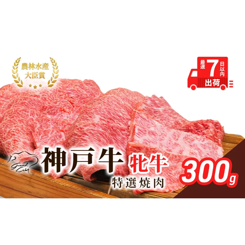 【最短7日以内発送】 神戸ビーフ 神戸牛 牝 特選焼肉 300g 川岸畜産 冷凍 肉 牛肉 すぐ届く お肉 和牛 食材 グルメ ブランド牛 日本産 国産 夕飯 晩御飯 夜ごはん 