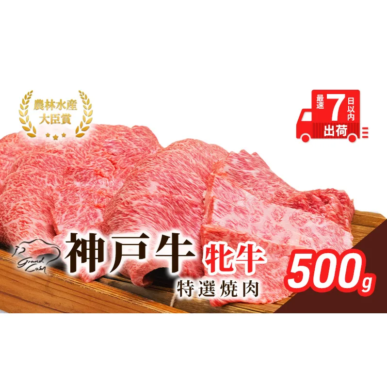 【最短7日以内発送】 神戸ビーフ 神戸牛 牝 特選焼肉 500g 川岸畜産 冷凍 肉 牛肉 すぐ届く お肉 和牛 食材 グルメ ブランド牛 日本産 国産 夕飯 晩御飯 夜ごはん 