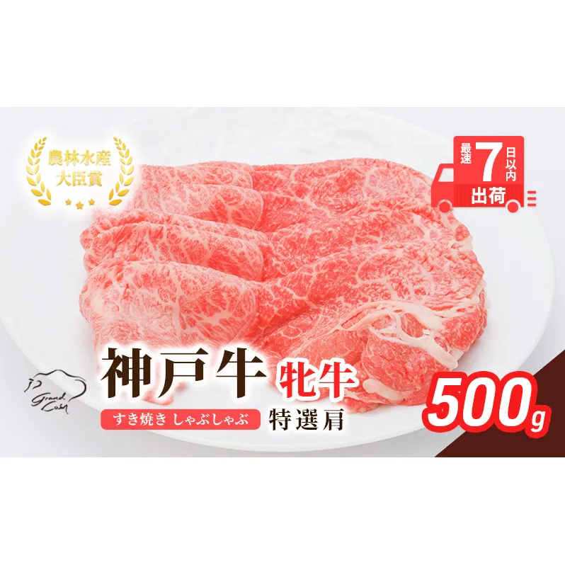 【最短7日以内発送】 神戸ビーフ 神戸牛 牝 特選肩 500g 川岸畜産 すき焼き しゃぶしゃぶ 焼肉 冷凍 肉 牛肉 すぐ届く お肉 和牛 食材 グルメ ブランド牛 日本産 国産 夕飯 晩御飯 夜ごはん 