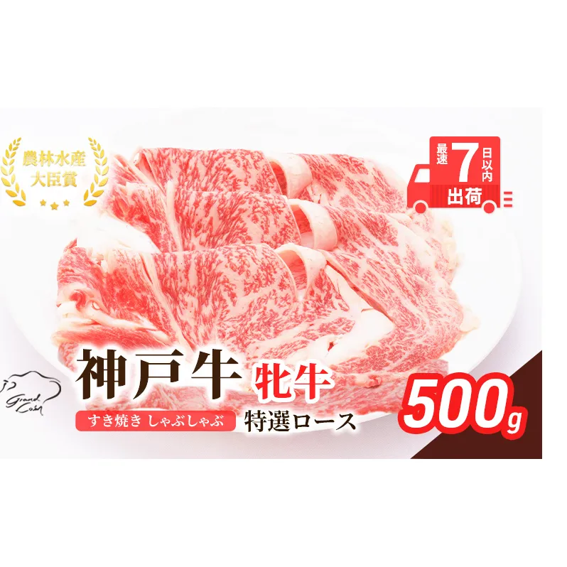 【最短7日以内発送】 神戸ビーフ 神戸牛 牝 特選ロース 500g 川岸畜産 すき焼き しゃぶしゃぶ 焼肉 冷凍 肉 牛肉 すぐ届く お肉 和牛 食材 グルメ ブランド牛 日本産 国産 夕飯 晩御飯 夜ごはん 