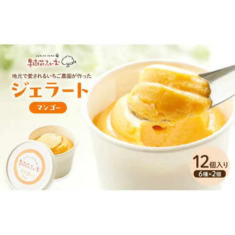 ジェラート マンゴー 12個 アイス アイスクリーム スイーツ お菓子 菓子 おやつ 兵庫県 加西市 