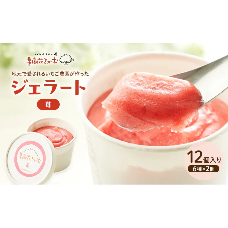 ジェラート いちご 12個 アイス アイスクリーム スイーツ お菓子 菓子 おやつ ストロベリー イチゴ 苺 兵庫県 加西市 