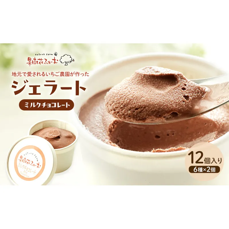 ジェラート チョコ 12個 アイス アイスクリーム スイーツ お菓子 菓子 おやつ 兵庫県 加西市 