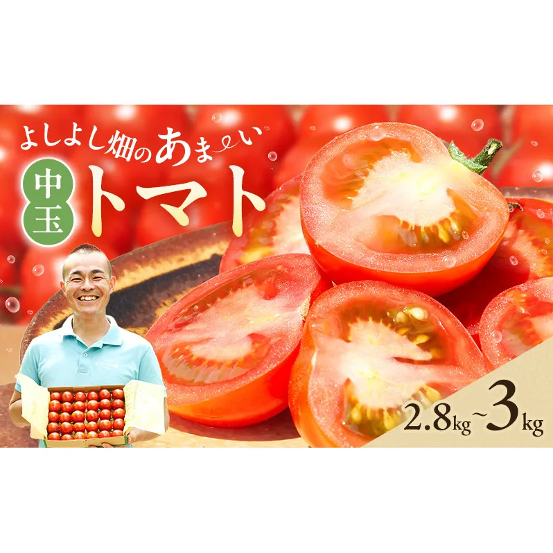 よしよし畑のあま～い トマト ( 中玉トマト ) 2.8kg ～ 3kg 程度 新鮮 産地直送  とまと おいしい おすすめ ギフト お取り寄せ