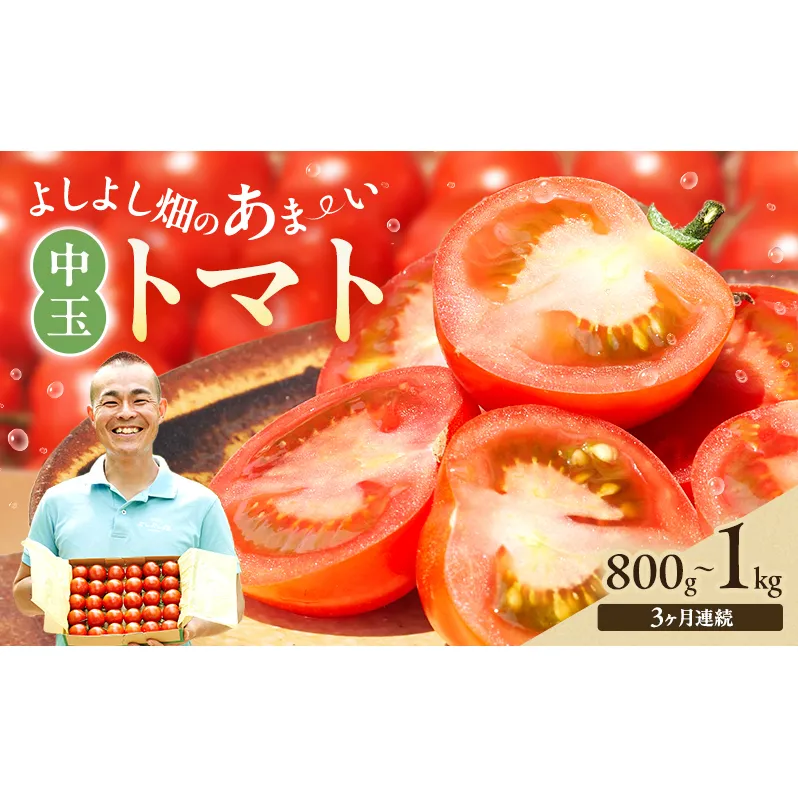 【3ヶ月連続 お届け】 よしよし畑のあま～い トマト ( 中玉トマト ) 800g ～ 1kg 計約3kg 程度 新鮮 産地直送  とまと 頒布会 定期便 おいしい おすすめ ギフト お取り寄せ