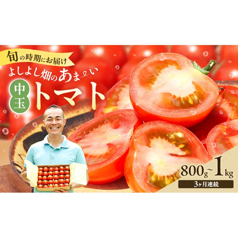 【最旬お届け確約】3ヶ月連続  よしよし畑のあま～い トマト ( 中玉トマト ) 800g ～ 1kg 計約3kg 程度 新鮮 産地直送  とまと 頒布会 定期便 おいしい おすすめ ギフト お取り寄せ