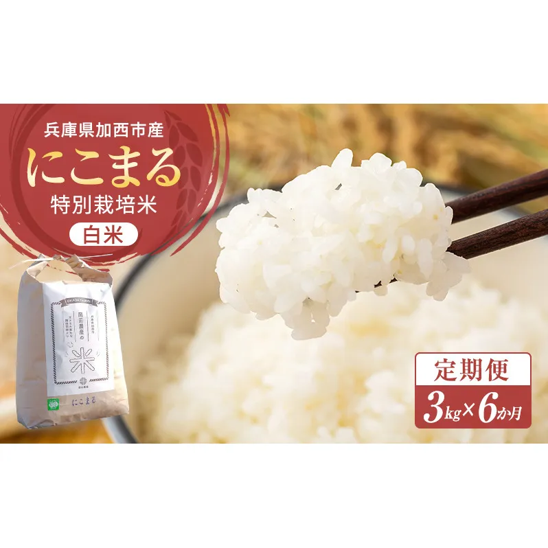 令和6年産 白米 3kg 定期便　6か月連続お届け 特別栽培米 にこまる 山田錦 米 お米 こめ コメ 特栽米 ひょうご安心ブランド ご飯 ごはん ゴハン 兵庫県 加西市
