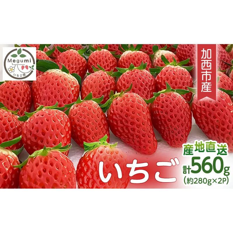 いちご 2パック 兵庫県 加西市 果物類 苺 イチゴ 果物詰合せ フルーツ