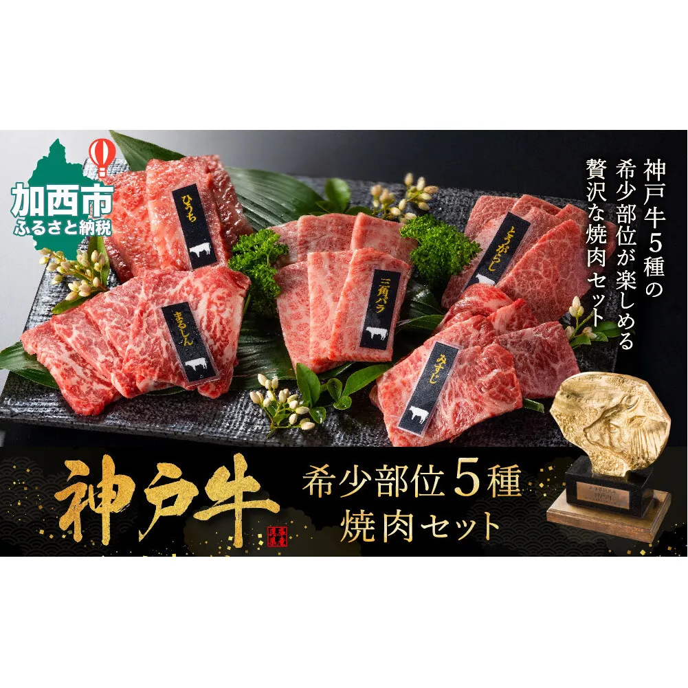 神戸牛 希少部位 焼肉セット 5種 計800g ミスジ ヒウチ 三角バラ トウガラシ マルシン