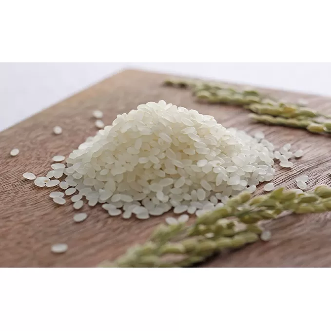 令和6年産！有機・減農薬栽培米キヌヒカリ(白米)10kg お米 