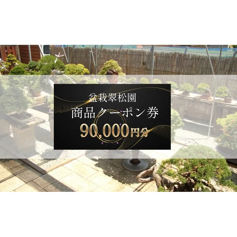 盆栽 翠松園 商品クーポン券 90,000円分 植物 観葉植物 園芸 商品券 兵庫県