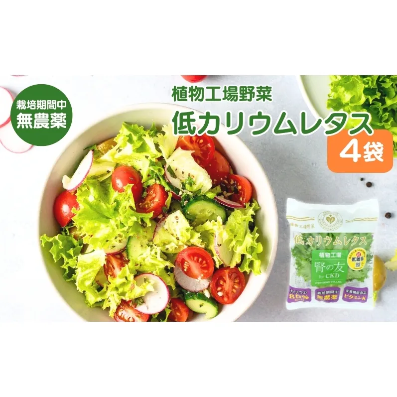 レタス 低カリウムレタス 4個入り カリウム85%カット 洗わず食べられる ビタミンK 植物工場 兵庫県 加西市 リーフレタス 栽培期間中 無農薬