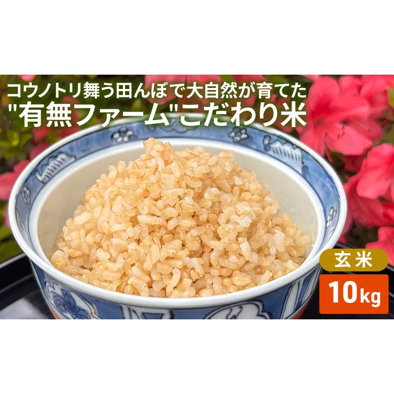 米 コウノトリ舞う田んぼで大自然が育てた""有無ファーム""こだわり米 玄米 10kg お米 栽培期間中農薬・化学肥料不使用