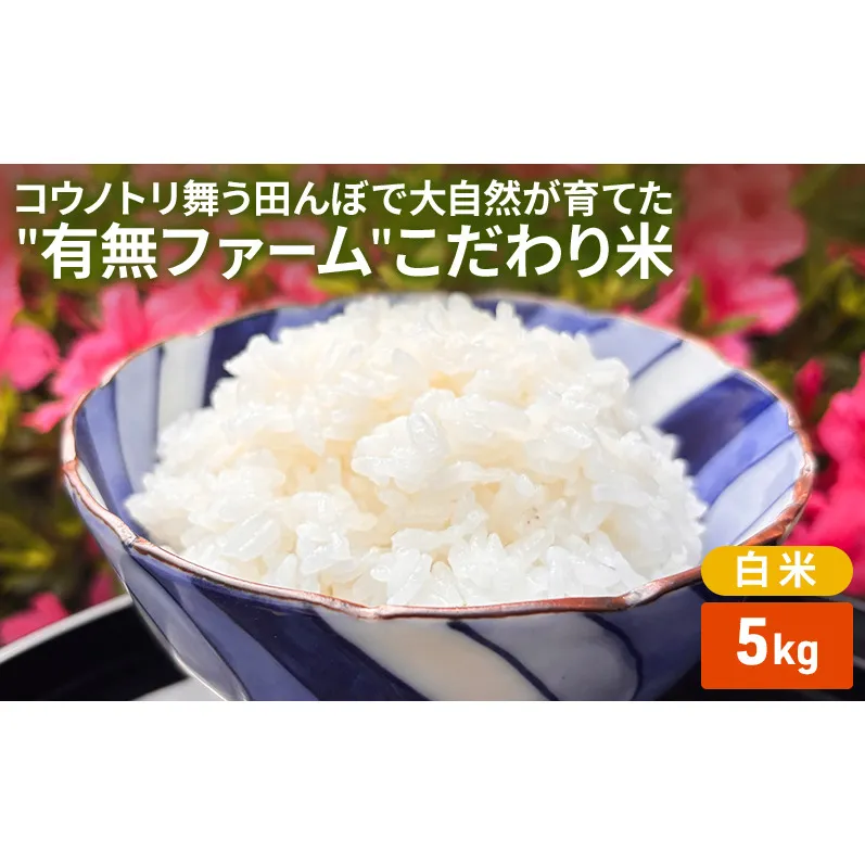 米 コウノトリ舞う田んぼで大自然が育てた""有無ファーム""こだわり米 白米 5kg 精米 お米 栽培期間中農薬・化学肥料不使用