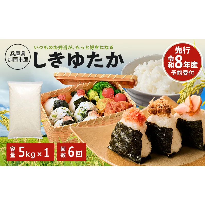 定期便 米 令和8年産 先行受付 しきゆたか 白米 5kg 6か月連続お届け お米 精米 単一原料米 お弁当 おにぎり 冷めても美味しい 農業支援 就労者支援 日用品