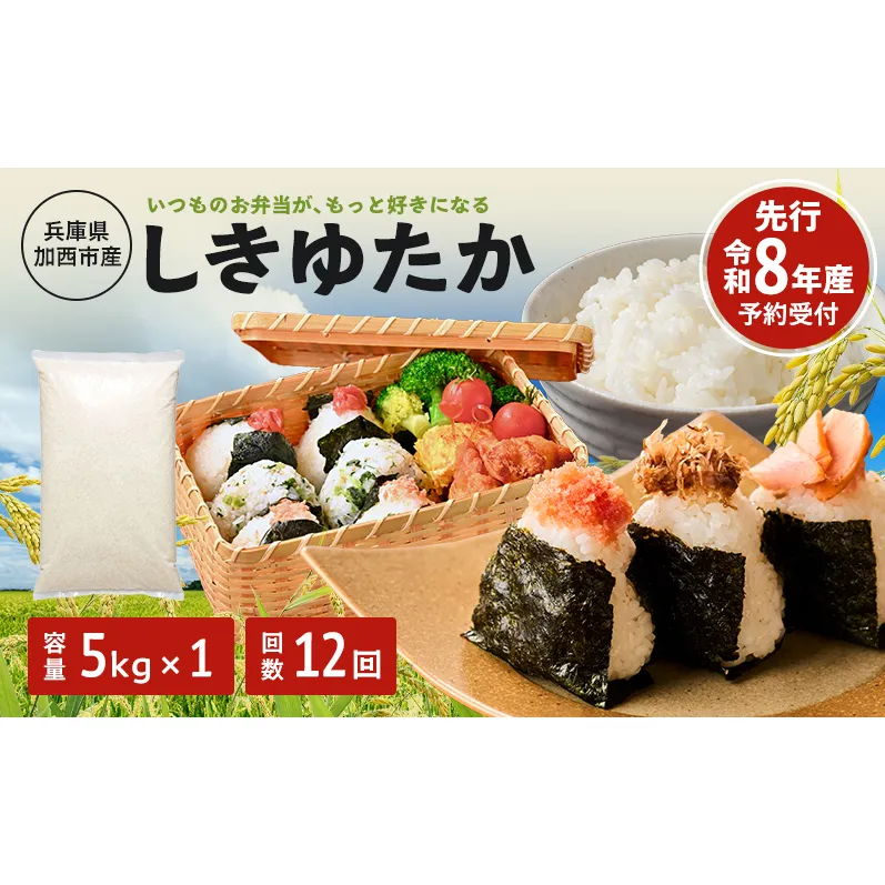 定期便 米 令和8年産 先行受付 しきゆたか 白米 5kg 12か月連続お届け お米 精米 単一原料米 お弁当 おにぎり 冷めても美味しい 農業支援 就労者支援 日用品