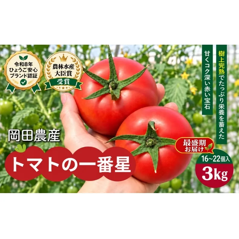 【最盛期お届け】トマト 3kg トマトの一番星 野菜 とまと 完熟 高糖度 甘い 受賞 冷蔵配送