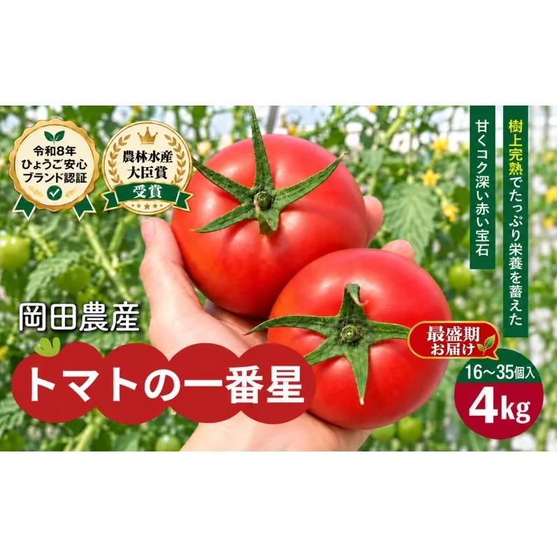 【最盛期お届け】トマト 4kg(家庭用) トマトの一番星 野菜 とまと 完熟 高糖度 甘い 受賞 冷蔵配送